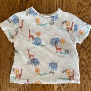 Zara toddler shirt